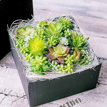 フェイク　多肉植物 91SFL+LXZ6L._UF350,350_QL50_.jpg